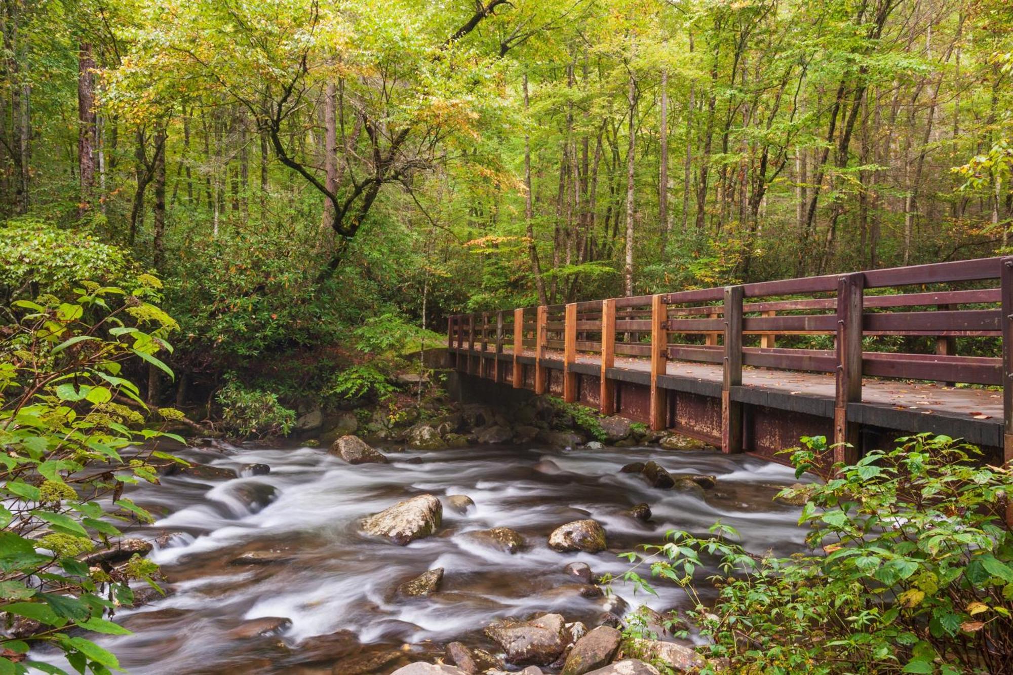 Hemlock Hollow, Pool Access, 1089 Free Tickets Each Paid Day, Dollywood And More Sevierville Exterior foto